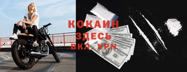 ПСИЛОЦИБИНОВЫЕ ГРИБЫ Арсеньев