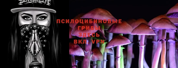 винт Алексин