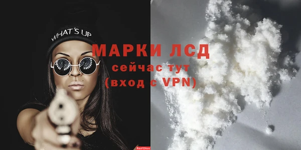 стафф Алзамай