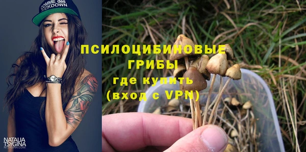 винт Алексин