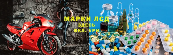 стафф Алзамай