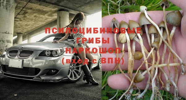 стафф Алзамай