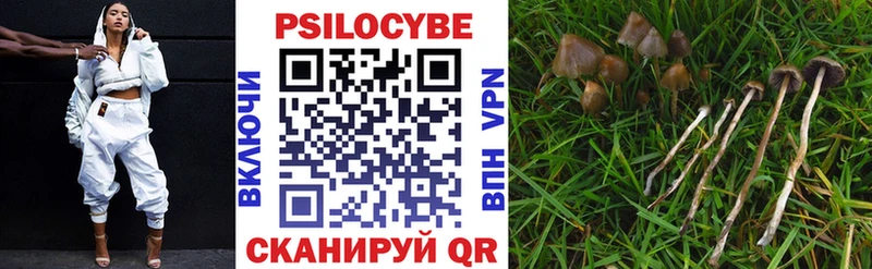 Псилоцибиновые грибы MAGIC MUSHROOMS  купить закладку  Куйбышев 