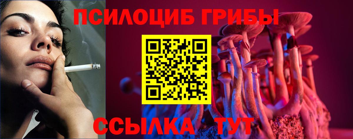 Псилоцибиновые грибы прущие грибы Куйбышев