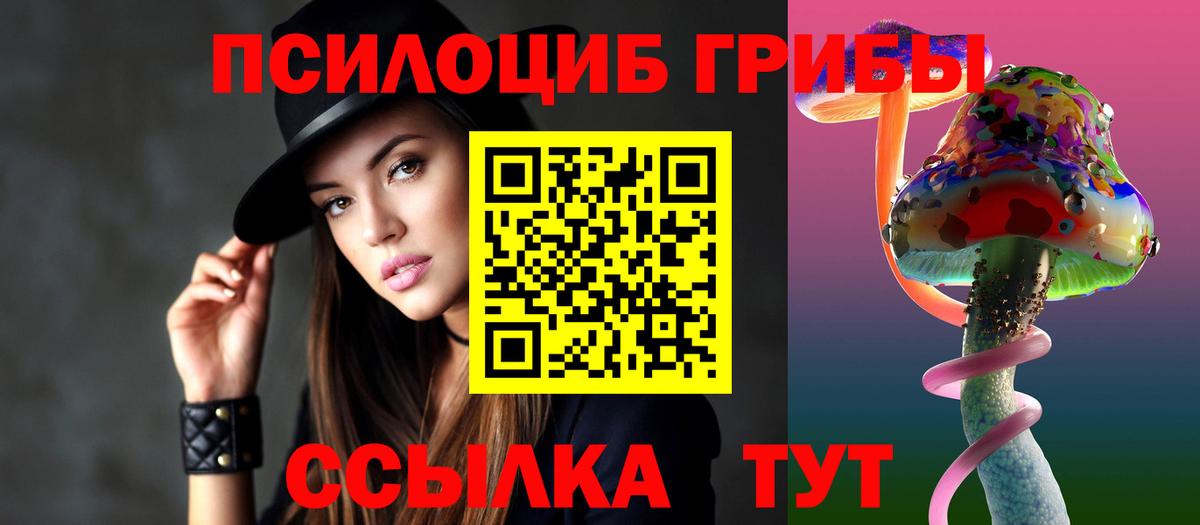 купить наркоту  Вход с VPN  Куйбышев  Галлюциногенные грибы MAGIC MUSHROOMS  Псилоцибиновые грибы мухоморы 