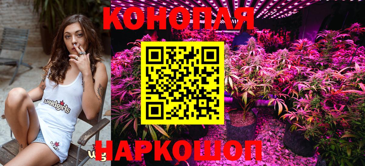 Канабис планчик Куйбышев